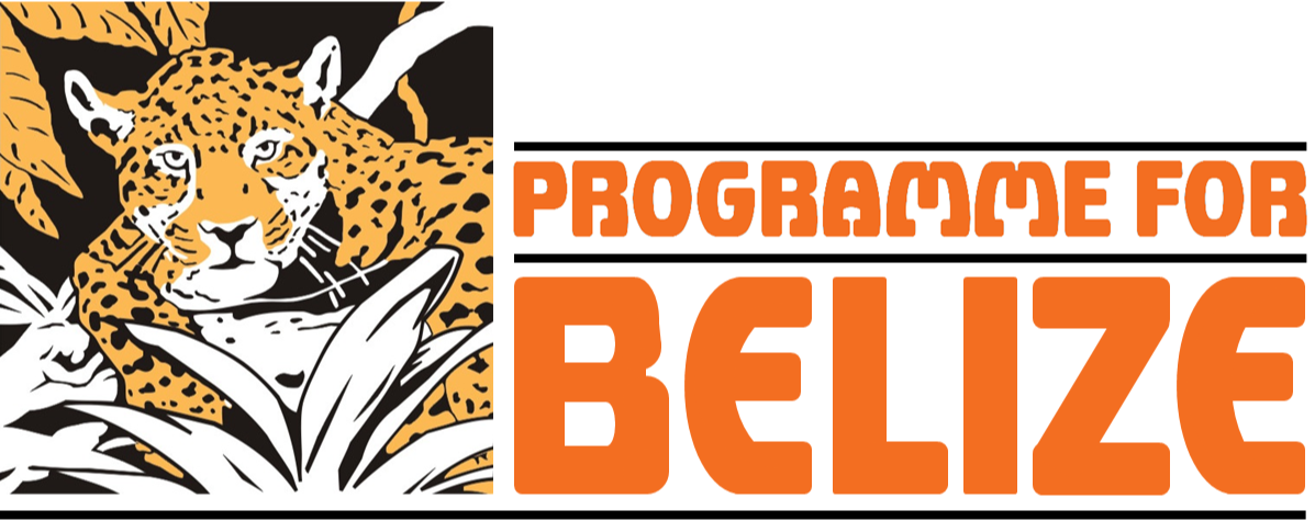 Programme for Belize's logo
