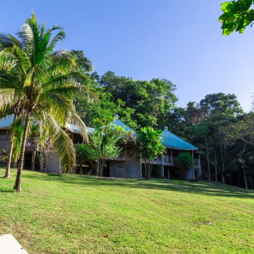 The exterior of the dormitories at La Milpa.