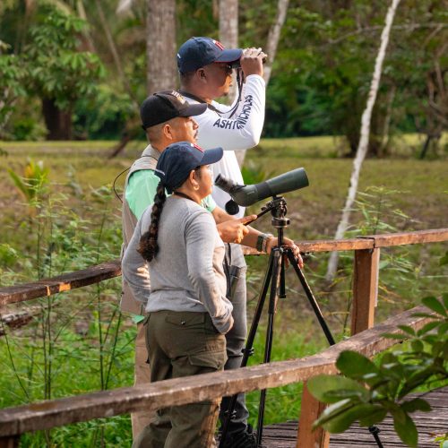 La Milpa Lodge birdwatching